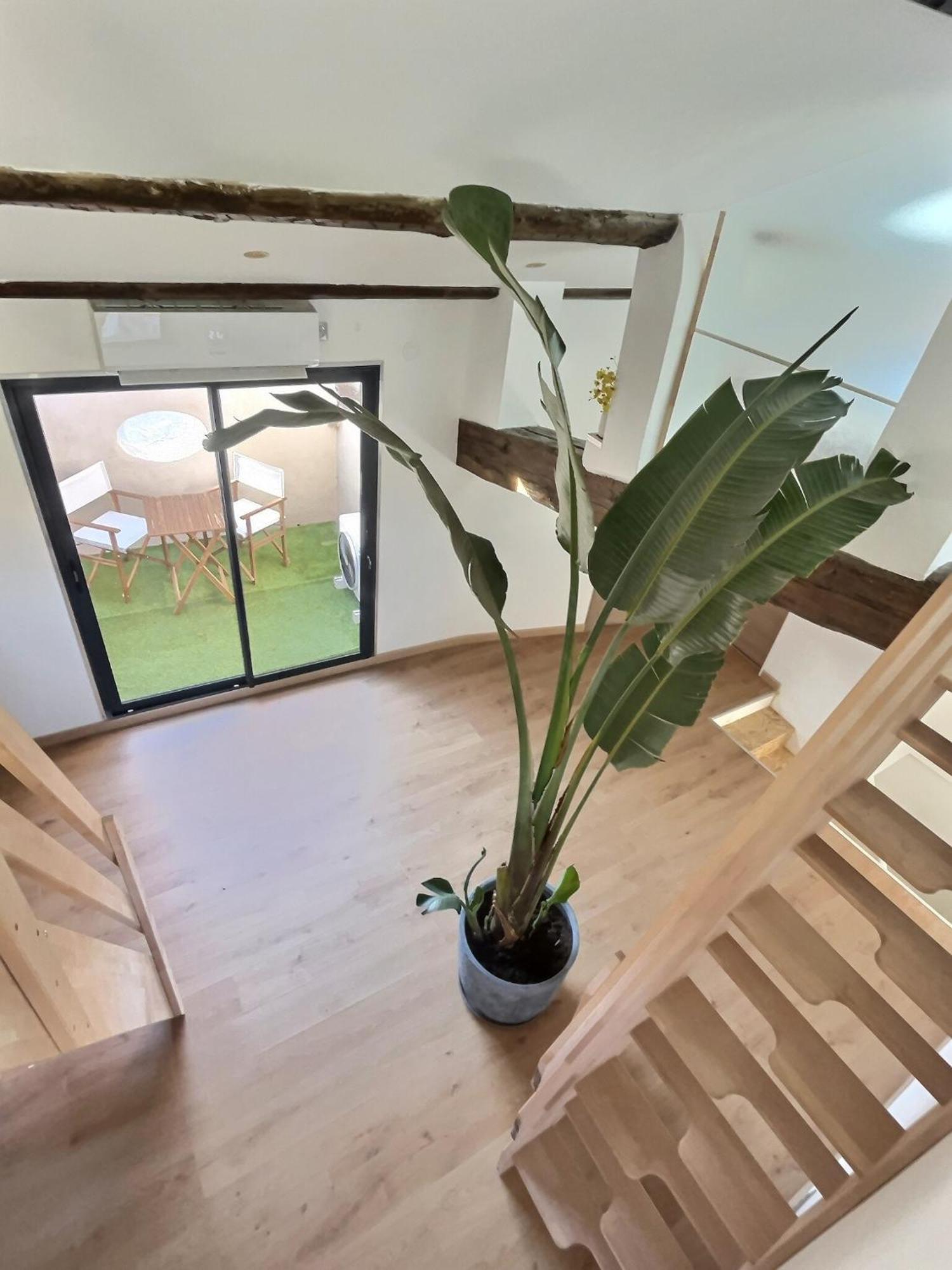 Jungle Loft Beziers Centre Apartment Exterior photo
